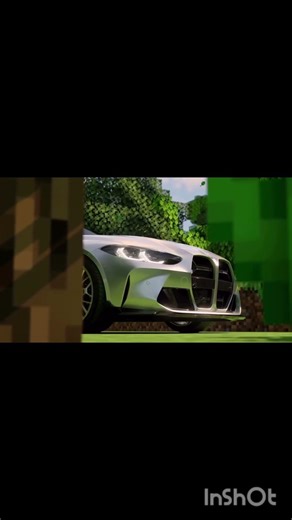 the chick was a paid actor📸😭🙏 #caredit #minecraft