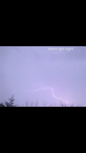 a tree may have been struck #norman #oklahoma #ou #thunder #lightning | storm