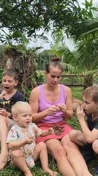 We crack Brazil nuts with our teeth #brazilnuts #homesteadlife #OffGridLiving