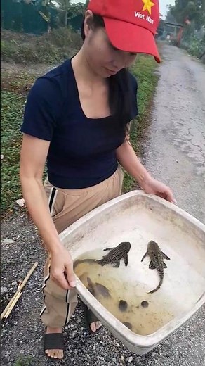 Vietnamese Girl Catches Fish🎣🇻🇳#Fishing #VietnamFishing #RuralLife #Shorts #FishingGirl#NatureVibes