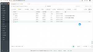 09-运行打包后的dist静态资源