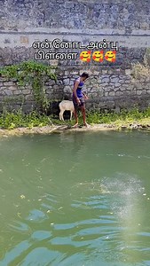 1.8K views · 10K reactions | Kodi on Reels | Facebook