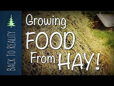 The Ruth Stout Method