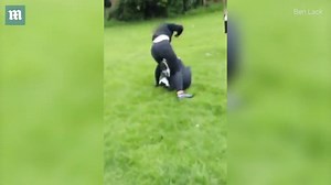 14-year-old girl beaten and kicked in the head by female bully