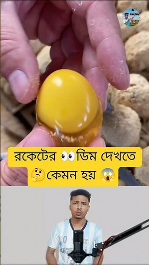The Egg-Inspired Rocket Innovation