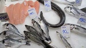 Fresh sea fish on a market. Seafood market. Fishmonger selling fish and seafood. Display of Pilchard. Fishmonger sold fresh fish. European conger, European bass, Gilt-head bream on ice for sale on th