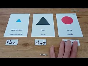 Comprendre Les déterminants CM1. Jeu Montessori. Apprendre par le jeu Websérie Numéro 1 Scolarité