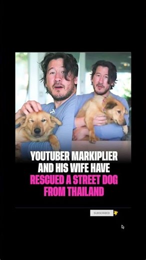 Markiplier’s New Best Friend: The Rescue Story That Will Melt Your Heart! 🐶❤️#markiplier