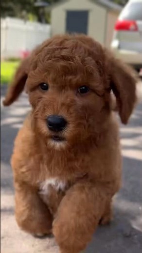 You’re my friend now, we’re having soft tacos later!