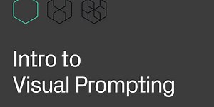 Intro to Visual Prompting, Lesson 7