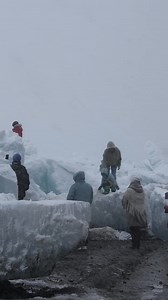 48K views · 3.2K reactions | The start of summer in North Siberia! Brr! | Future Russia | Facebook