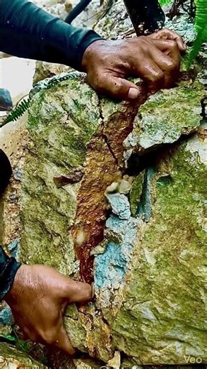 Wow‼️😱😱 I found tha stone in tha lamp of earth #curiositystream #agatediscovery