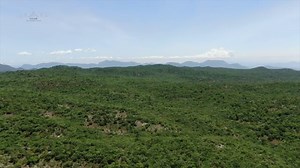 5.2K views · 356 reactions | Soul Sync Meditation is your magic potion to heal the heart of all its wounds and manifest synchronicities. You are beginning your contribution towards world peace by doing Soul sync meditation for peace, which will nurture peace consciousness within you. Share this gift with everyone you know. #JustPeace #soulsync #peace | Sri Preethaji & Sri Krishnaji | Facebook