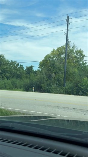 49K views · 647 reactions | You can tell the red lights are flashing and the door is open meaning the stop sign is extended, so how come they didn’t even slow down??? | The Bus Runner Page | Facebook