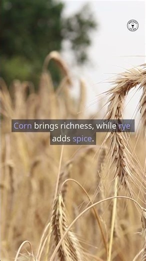 How Whisky Gets Its Flavour, From Grain to Glass Explained