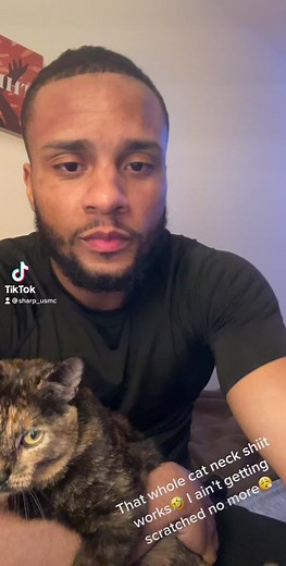 Josh Sharp on TikTok