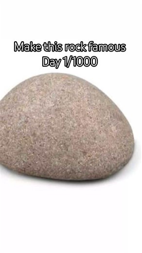 make this rock famous day 1/1000 #rock #fyp #relatable