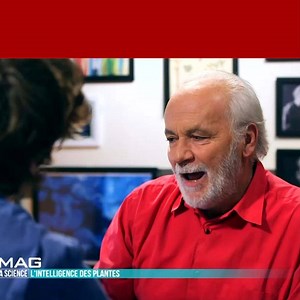 95K views · 351 reactions | Elles communiquent, s'entraident, font des choix,... + de chroniques : https://bit.ly/2O3aRf5 | Science & Vie TV | Facebook