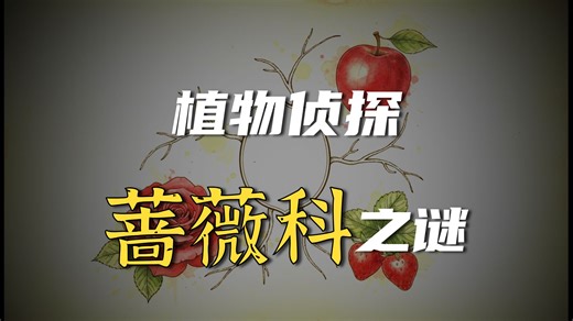 蔷薇科植物识别指南（Rosaceae）——蔷薇亚科、仙女木亚科和李亚科