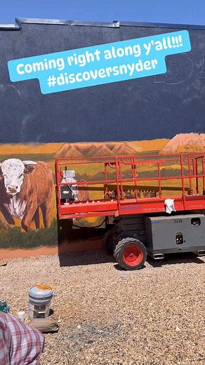 28K views · 558 reactions | Shout out to everyone involved in helping make this mural project happen for Snyder! Big things happening in our lil town…one step at a time! #discoversnyder @calinamishay | Snyder Chamber of Commerce - Discover Snyder | Facebook