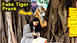 65M views · 1.7M reactions | Fake Tiger Prank | Zero Brand | Facebook