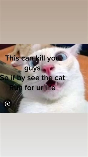 The Bad Cat But Can lill you😱😱#