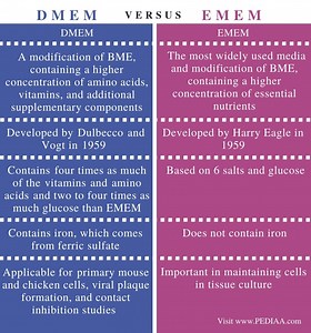 Qual é a diferença entre dmem e emem - Notícia 2026