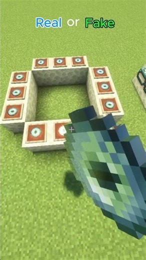 Real vs Fake #minecraft #bestminecraftclips #minecraftbuilding #gaming