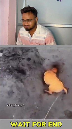 Rasta pata hai na🤣😂 #funnyvideosdaily #dailymemes #funnymoments #dankmeme #foryou