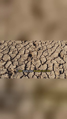 Only 122 firms identified as key contributors to water shortage in the western United States