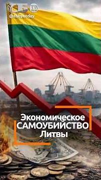 Where is the Ruginienė government taking the Lithuanian economy?