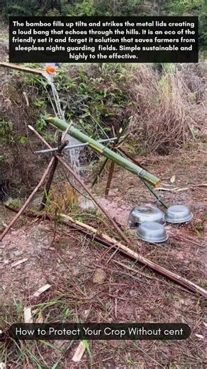 Protect Your Crop Without cent