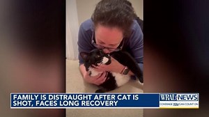 Family distraught after cat shot, faces long recovery