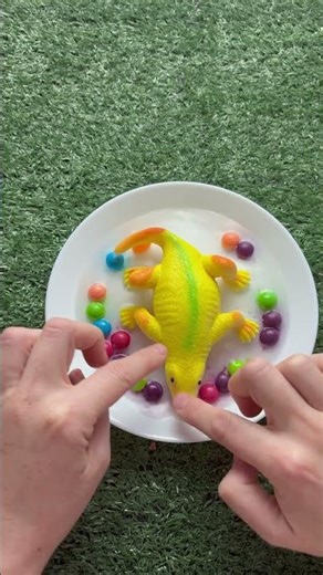 Oddly Satisfying Candy Touch