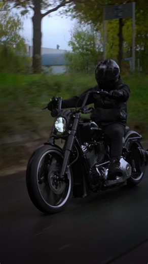 Experience the Freedom of Riding a Harley Motorcycle