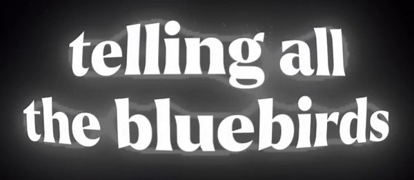 Flower Lyrics: Understanding the Meaning Behind the Song