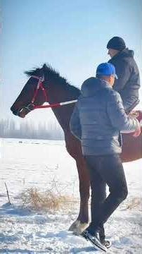 谢谢大家的支持和信任 #马 #骑马#伊犁马#不会骑马的骑手 #母马