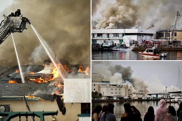 Massive fire engulfs science lab at University of South Florida St. Petersburg: ‘Total devastation’
