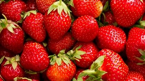 Red History Videos: Download 3,578+ Free 4K & HD Stock Footage Clips - Pixabay