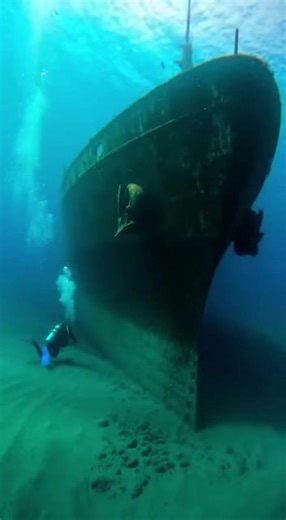1.4K views | #LostWarshipsHunter #WarshipWrecks #SunkenWarships #ShipwreckDiving #UnderwaterExploration #DeepSeaDiving #WreckHunter #OceanDiscovery #MaritimeHistory #UnderwaterAdventure | Nature speaks | Facebook