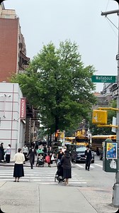 484 reactions · 48 comments | A Look Inside the Daily Life of Jewish Communities in Williamsburg, Brooklyn | Strolling The City | Facebook