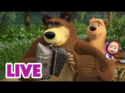 🔴 LIVE STREAM 🎬 Masha and the Bear 🏡🪴 Bear's Eco-Home 🐻🍯