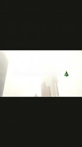 Hotel New York Rotterdam on Reels