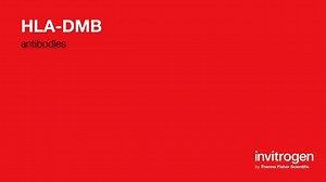 HLA-DMB antibodies from Thermo Fisher Scientific