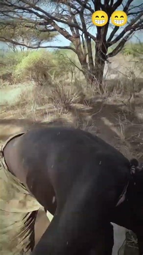 Chaba doesn't know the system for opening bottle caps #africanculture #brazil #comedy #africa #usa