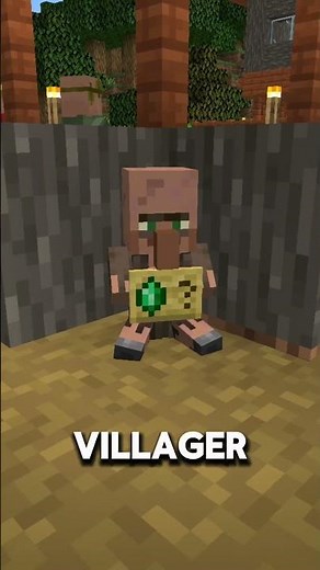 This mod adds homeless people to Minecraft!!!!