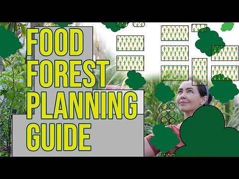 How to Create a Food Forest Site Plan: Sun, Shade, and Water Flow Mapping Tutorial