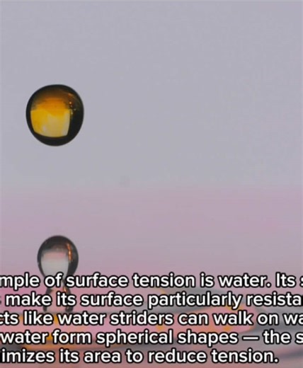 Physics Calculations on TikTok