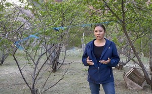 Navajo Peaches - Native Memory Project