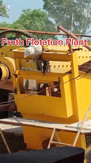 Froth Flotation | Upgradation of Minerals | MiningInsights